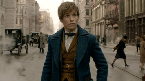 Eddie Redmayne in the 'Fantastic Beasts and Where To Find Them' Trailer.