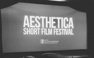 Aesthetica Short Film Festival 2017 Experience