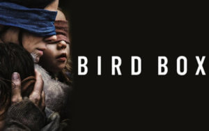 Bird Box Sandra Bullock