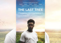 The Last Tree (2019) Review